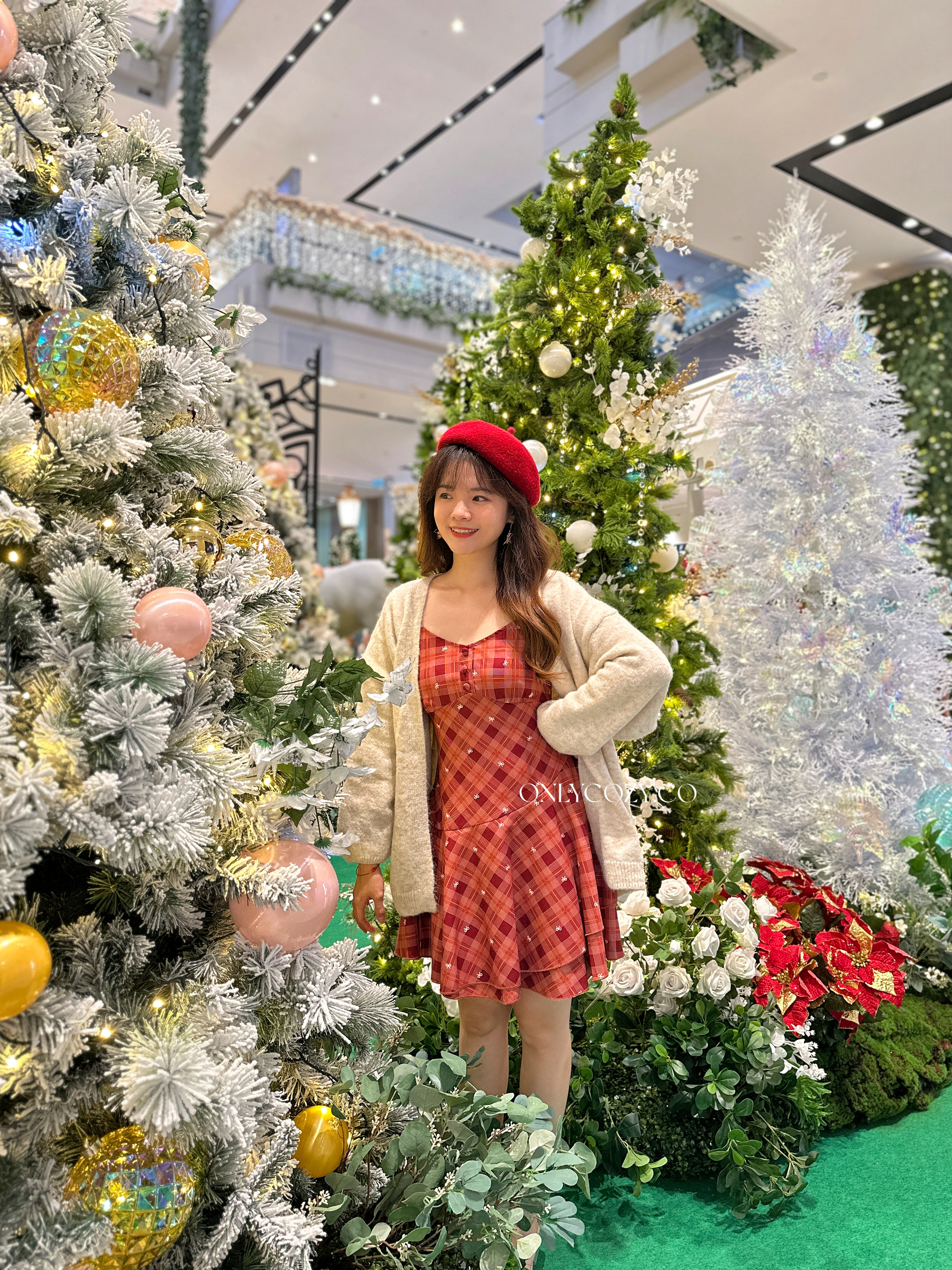 image_0536FB40-44B2-49B8-88AE-11B6A1179C3B_1765364008