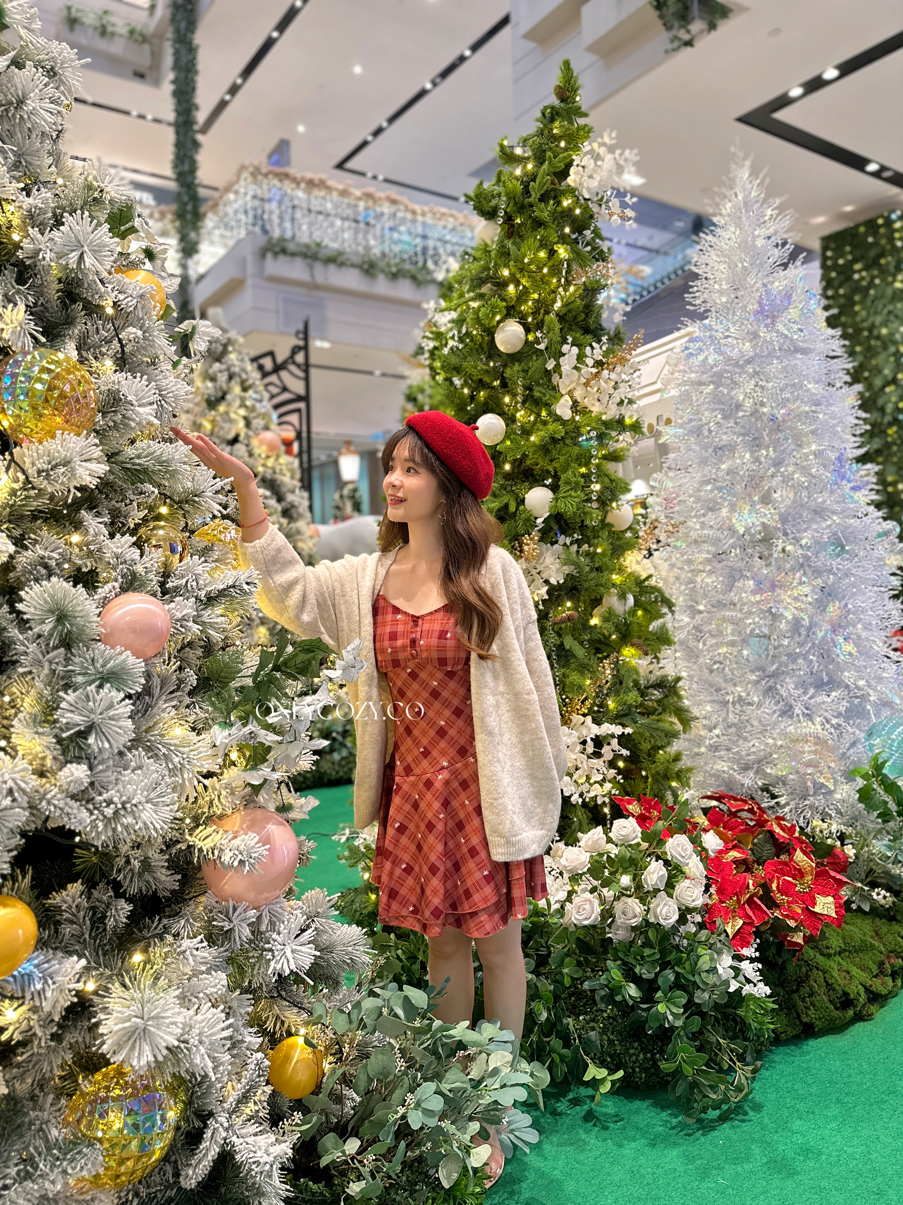 image_5CC0AE11-1156-4106-A75C-2A3BE564EDF0_1765364519