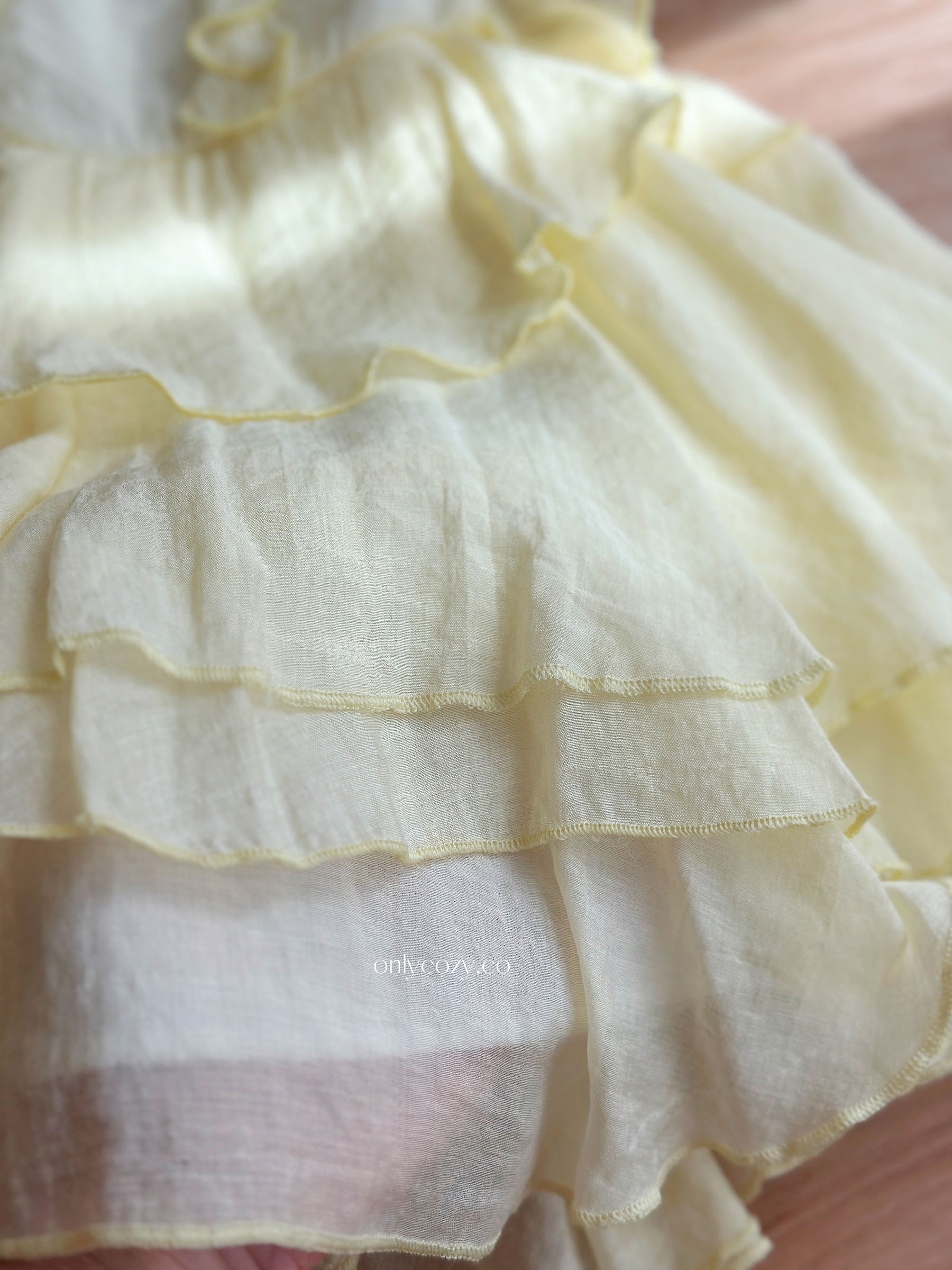 image_900E2009-F115-4DBD-9098-60F3687A211D_1767786829