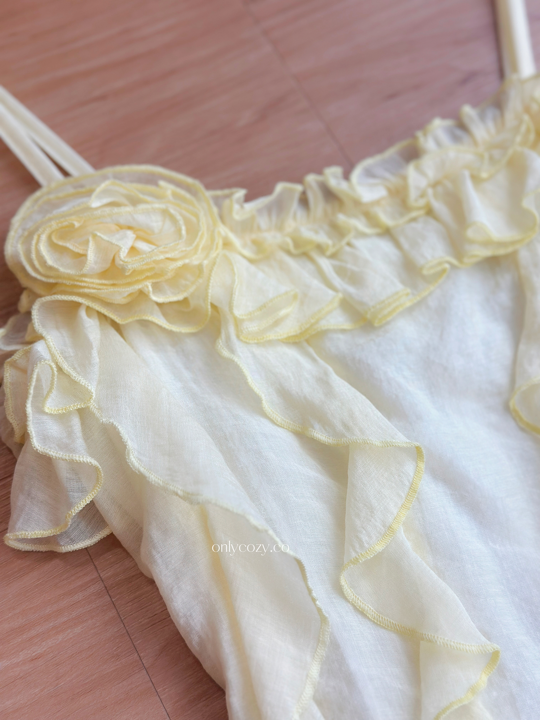 image_B451FD64-406B-486D-8915-D37808394644_1767786830