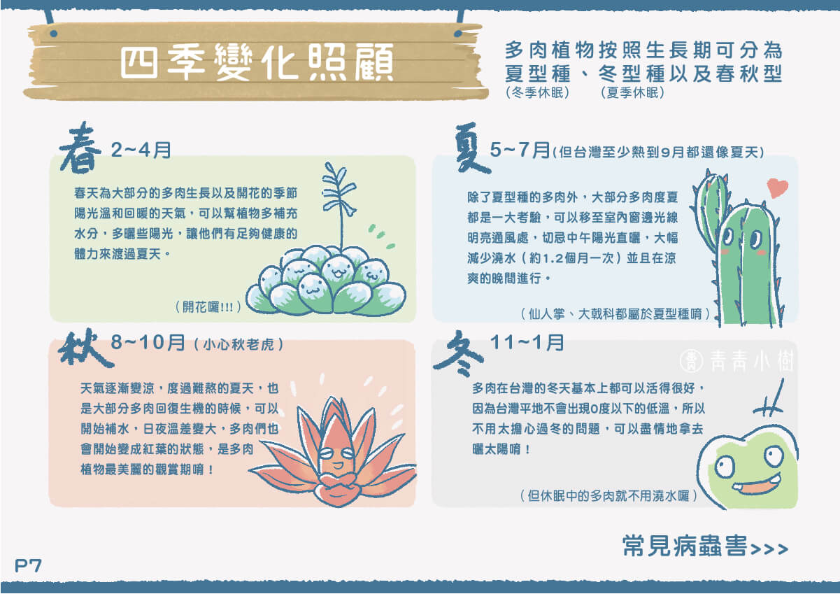 多肉植物懶人包-07