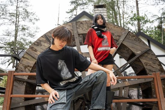 SLOWDOWN by Amazing Panda | The Hype Room Official Store