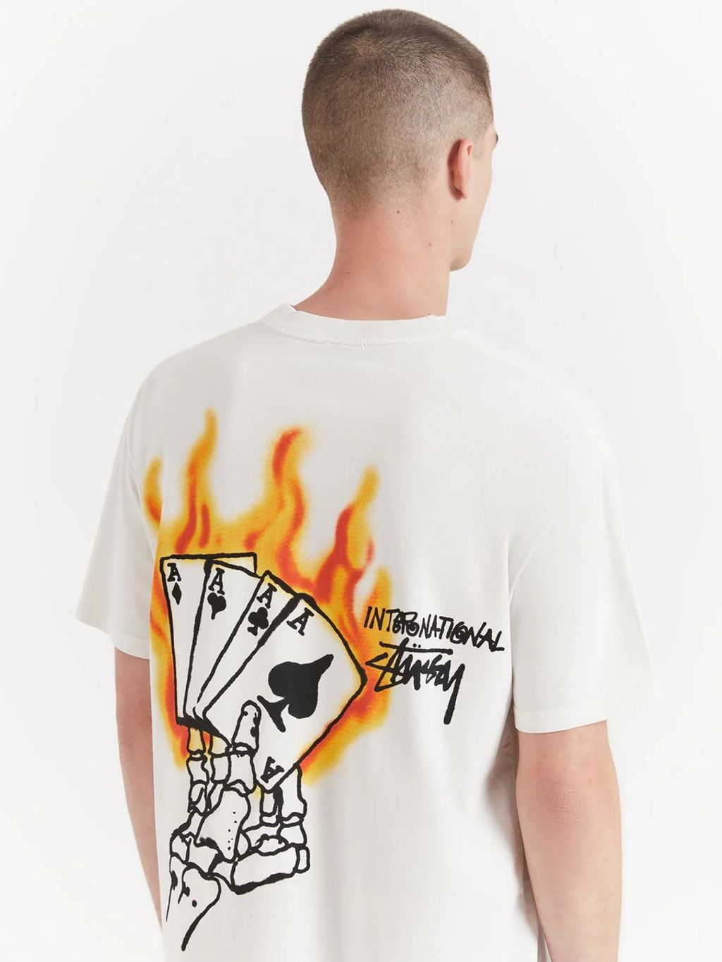 WhatsApp Image 2026-03-25 at 5.00.00 PM (1)