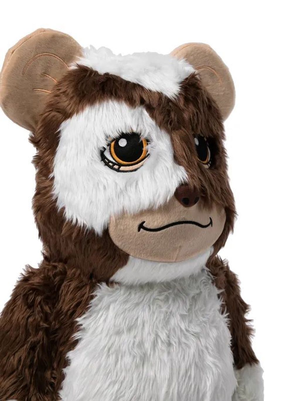 WhatsApp Image 2026-04-07 at 6.31.20 PM (2)