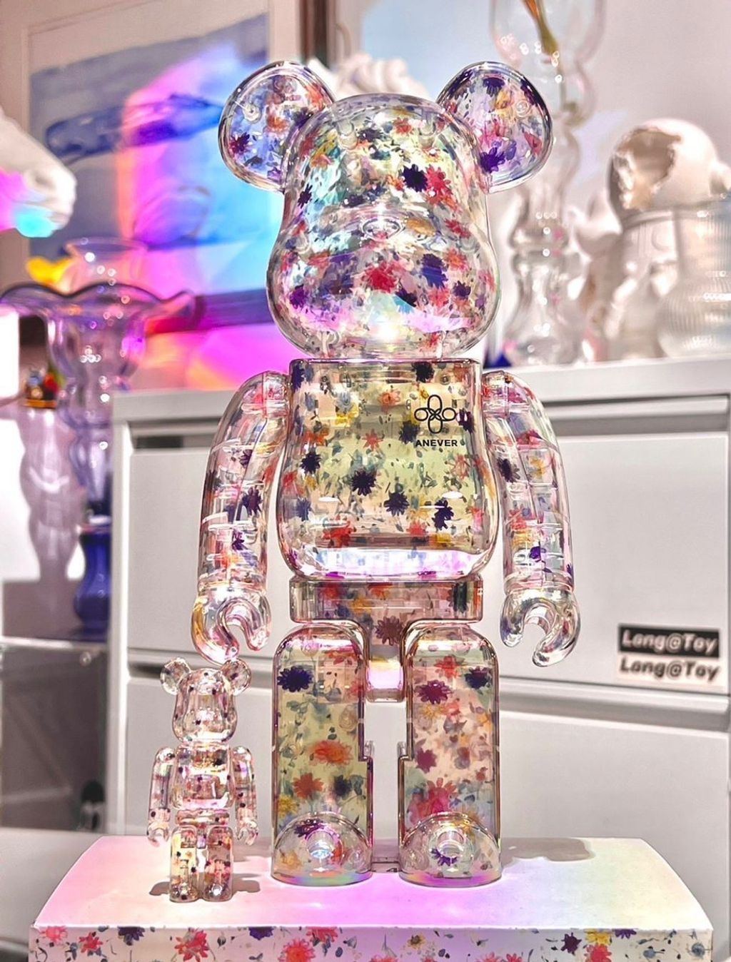 WhatsApp Image 2026-04-07 at 7.07.55 PM