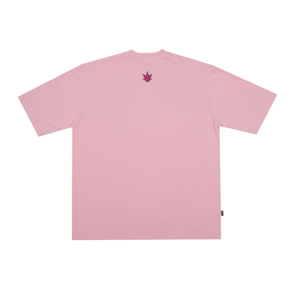 11.1 (1)