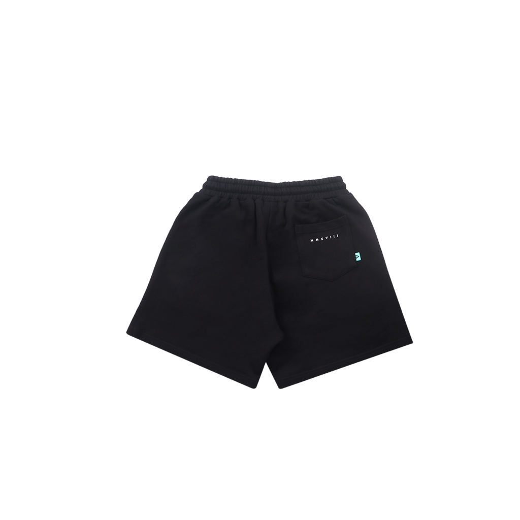 SEGCSBlack_2