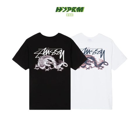 dyansns-02