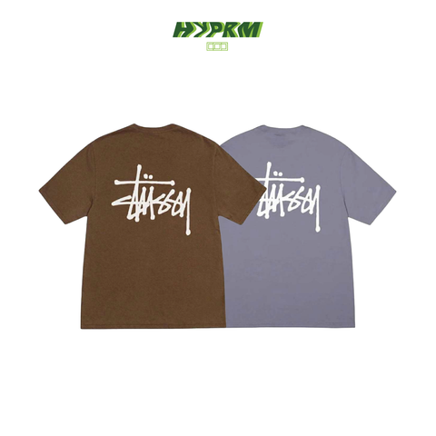 stussybasicc-02