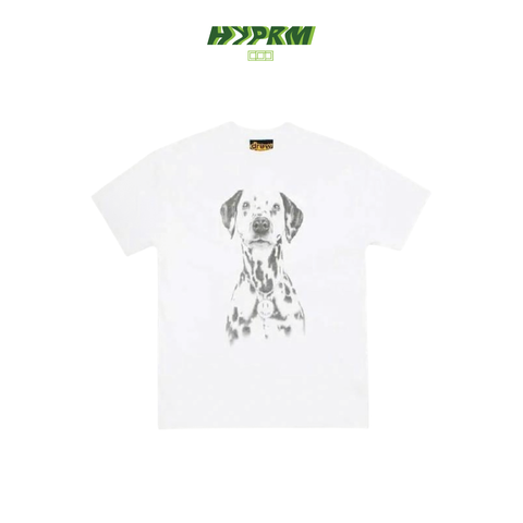 spotsstee-02