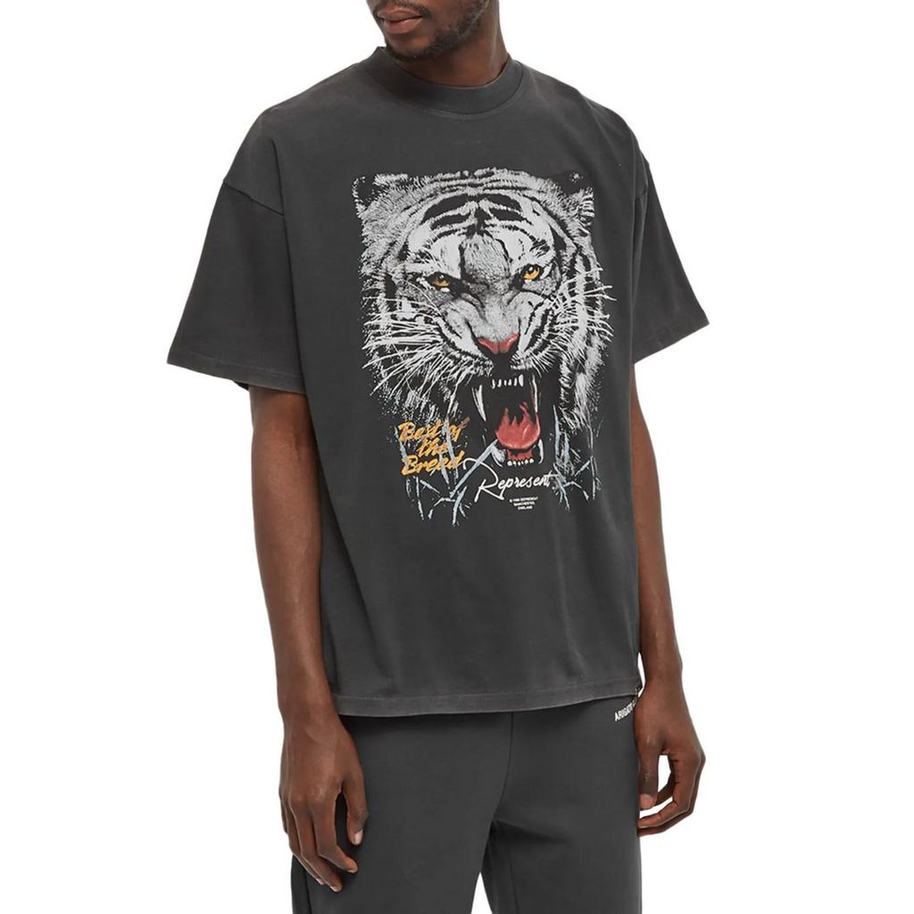 WhatsApp Image 2026-01-07 at 8.13.53 PM