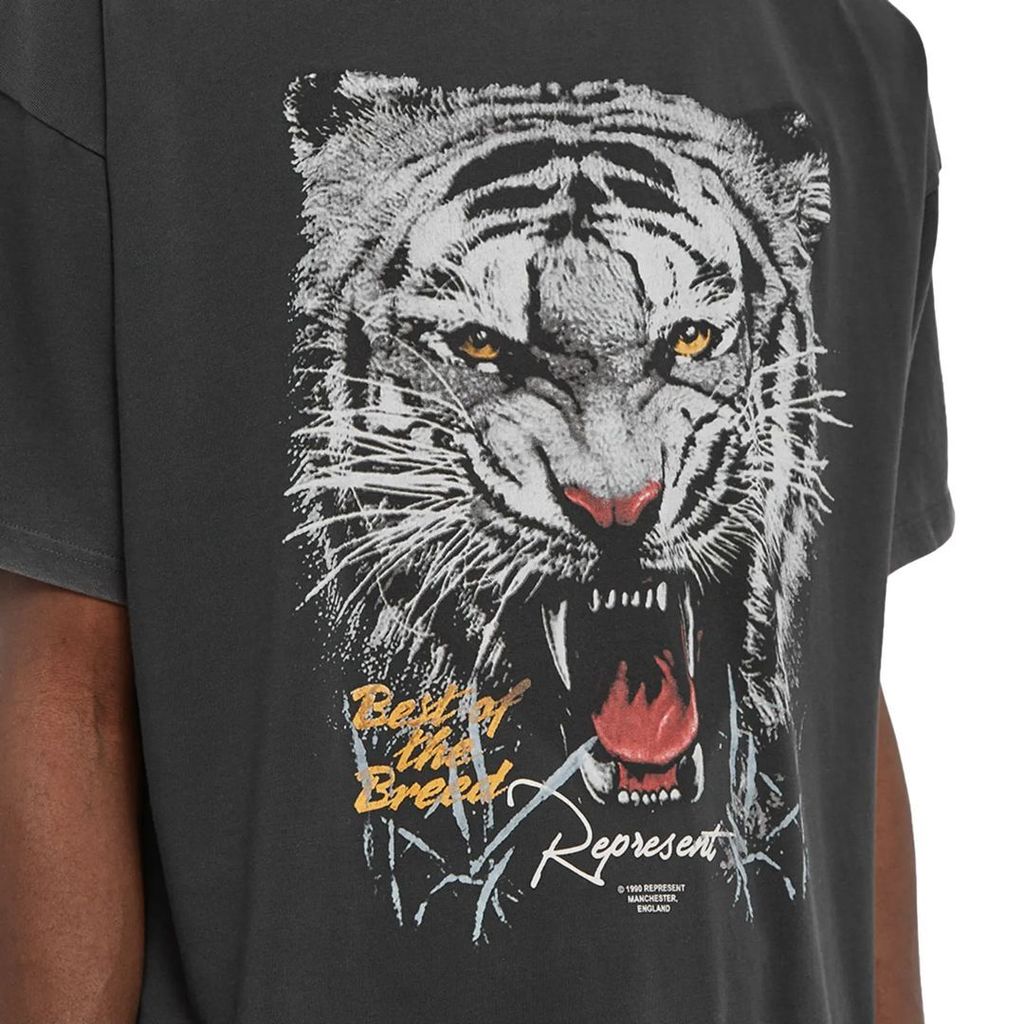 WhatsApp Image 2026-01-07 at 8.13.52 PM (1)