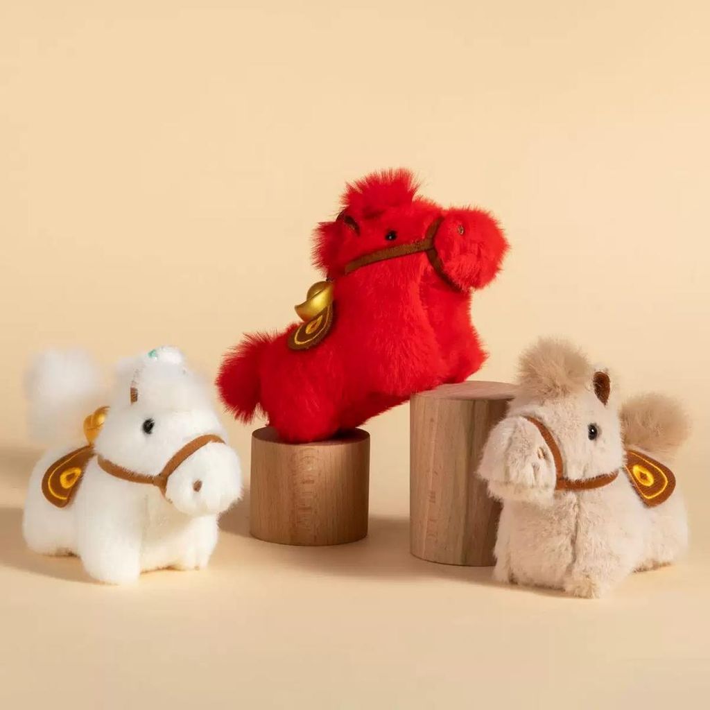 WhatsApp Image 2026-01-19 at 8.20.01 PM