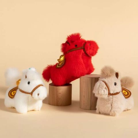 WhatsApp Image 2026-01-19 at 8.20.01 PM