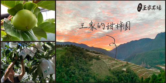  | 梨山王家農場－ 梨山自產農產＆嚴選高品質水果 