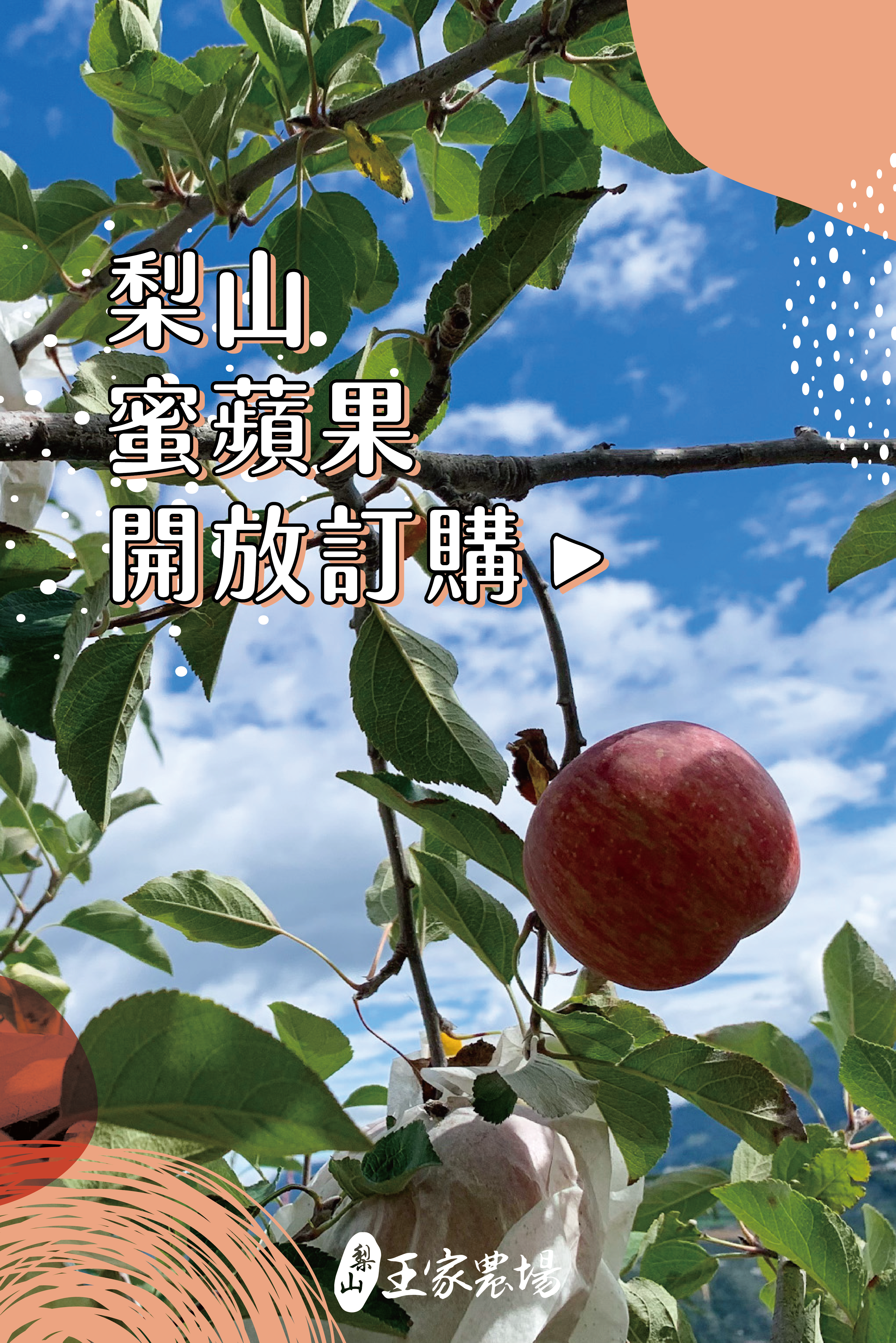 蜜蘋果產品圖_工作區域 1__工作區域 1