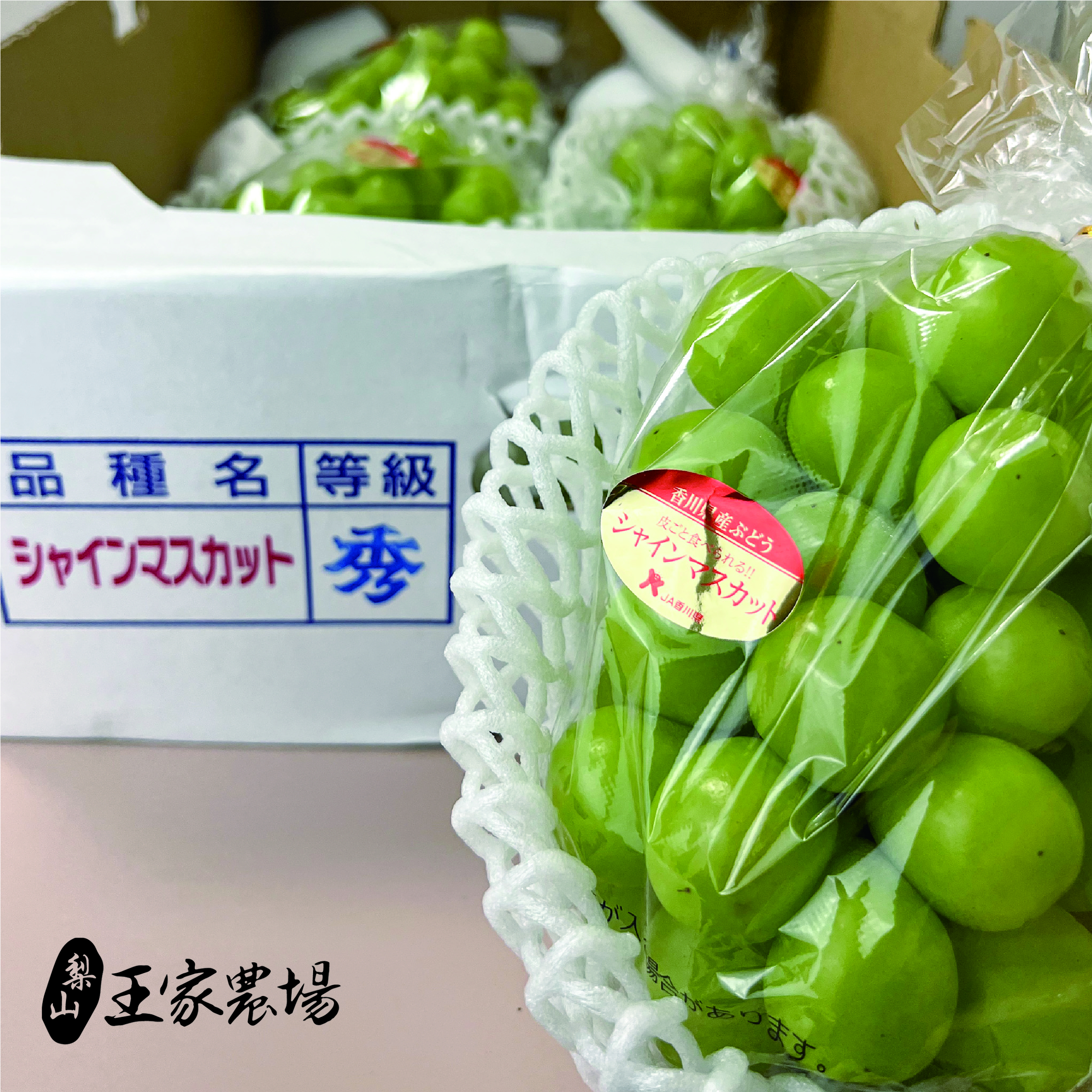 香川麝香葡萄-05