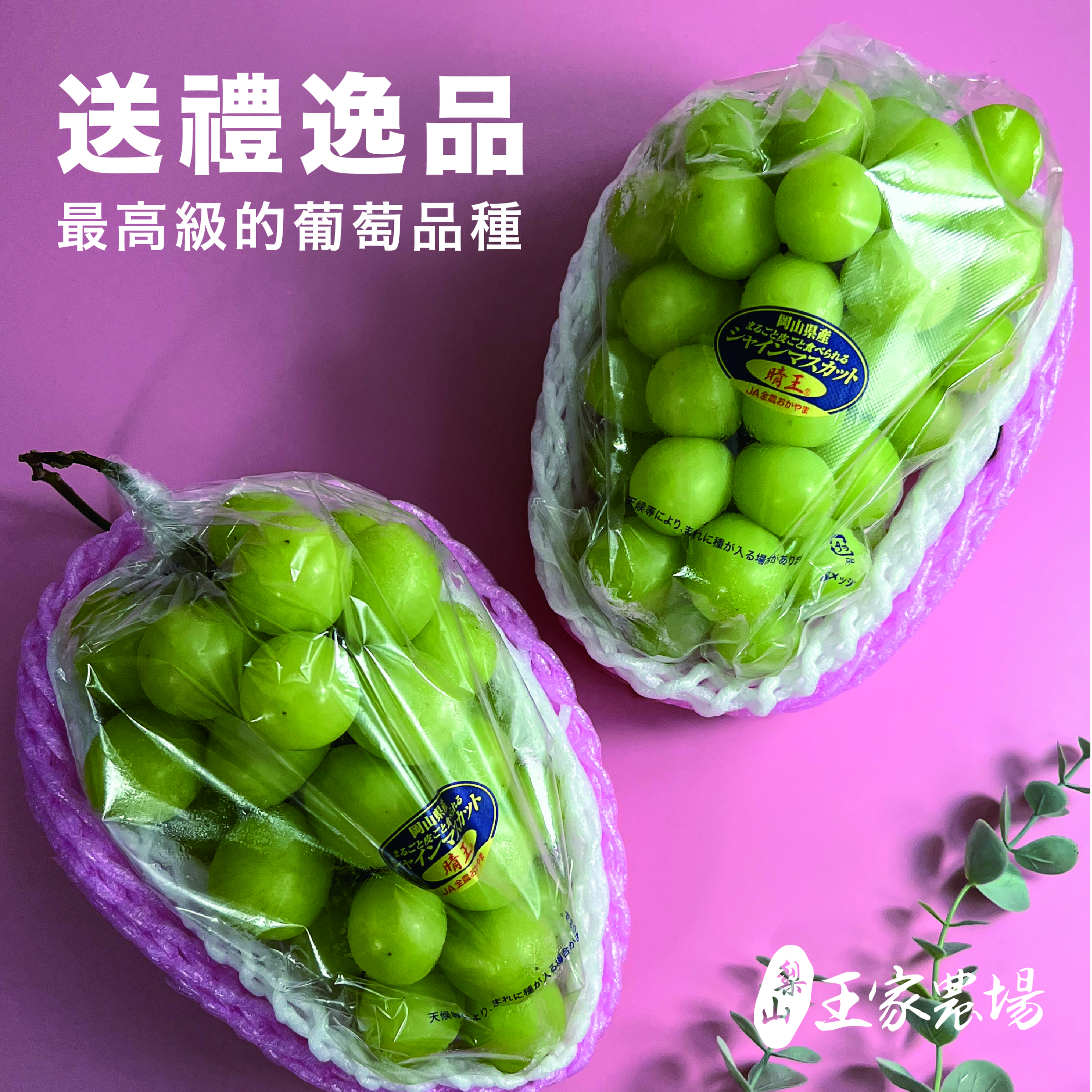 日本岡山晴王麝香葡萄產品圖1200x1200-04