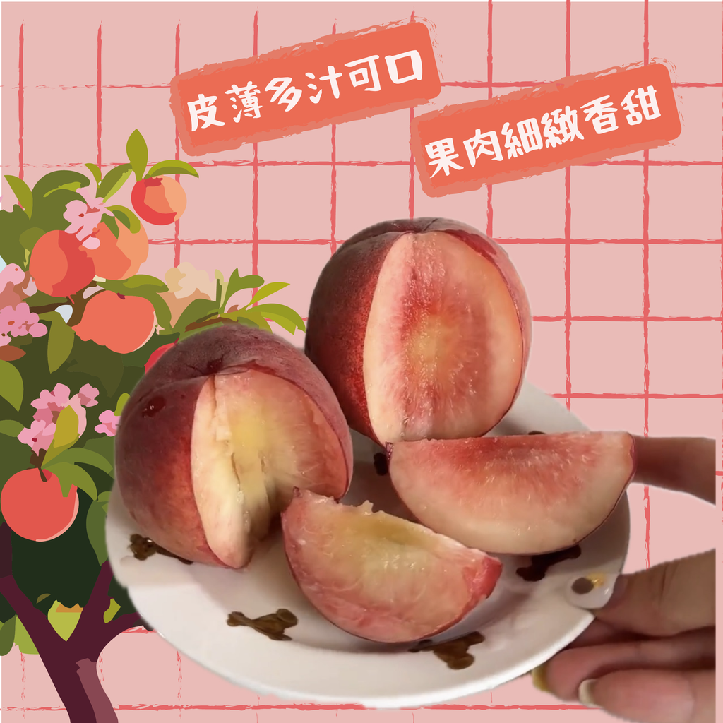 2026水蜜桃FB廣告-04