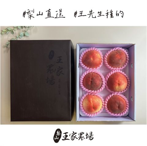 梨山水蜜桃產品圖1200x1200-02-02