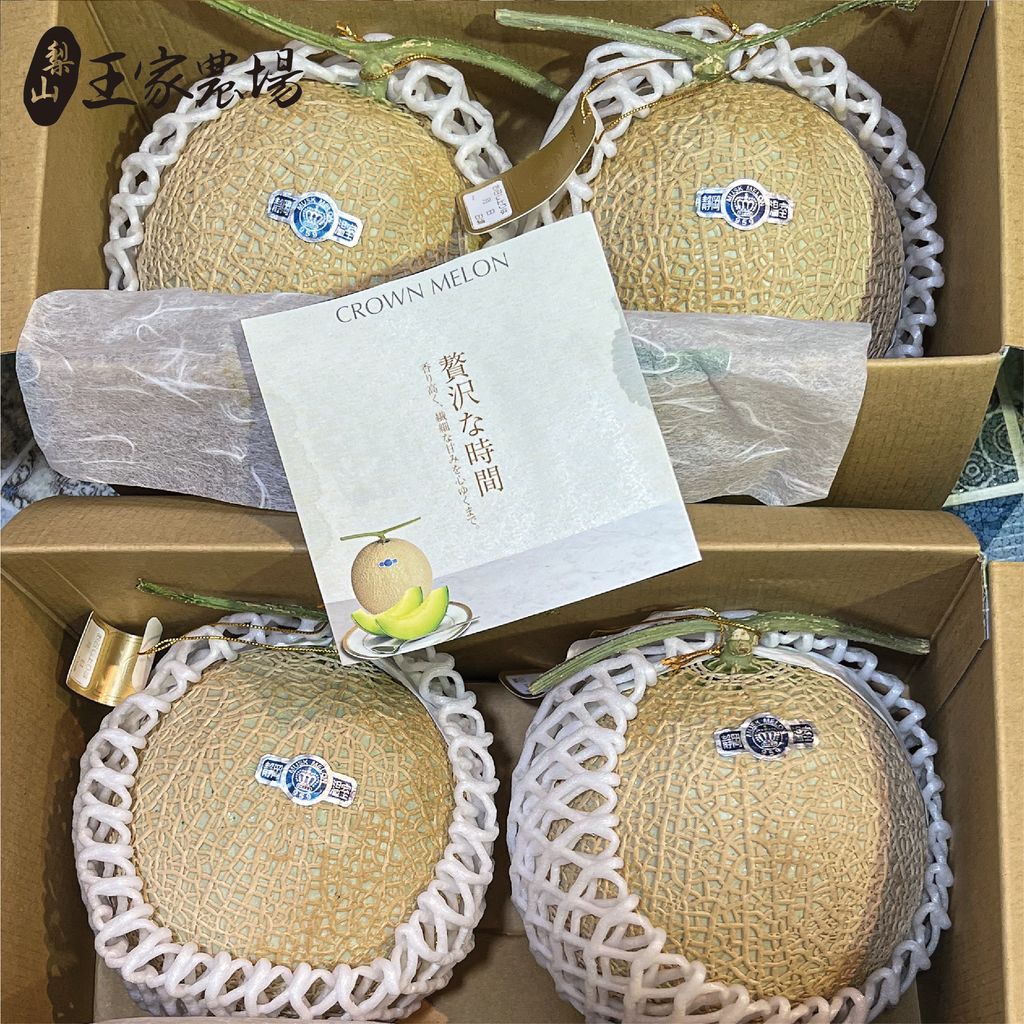 日本靜岡哈密瓜產品圖-04