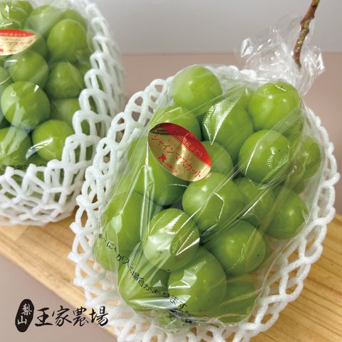 香川麝香葡萄-03