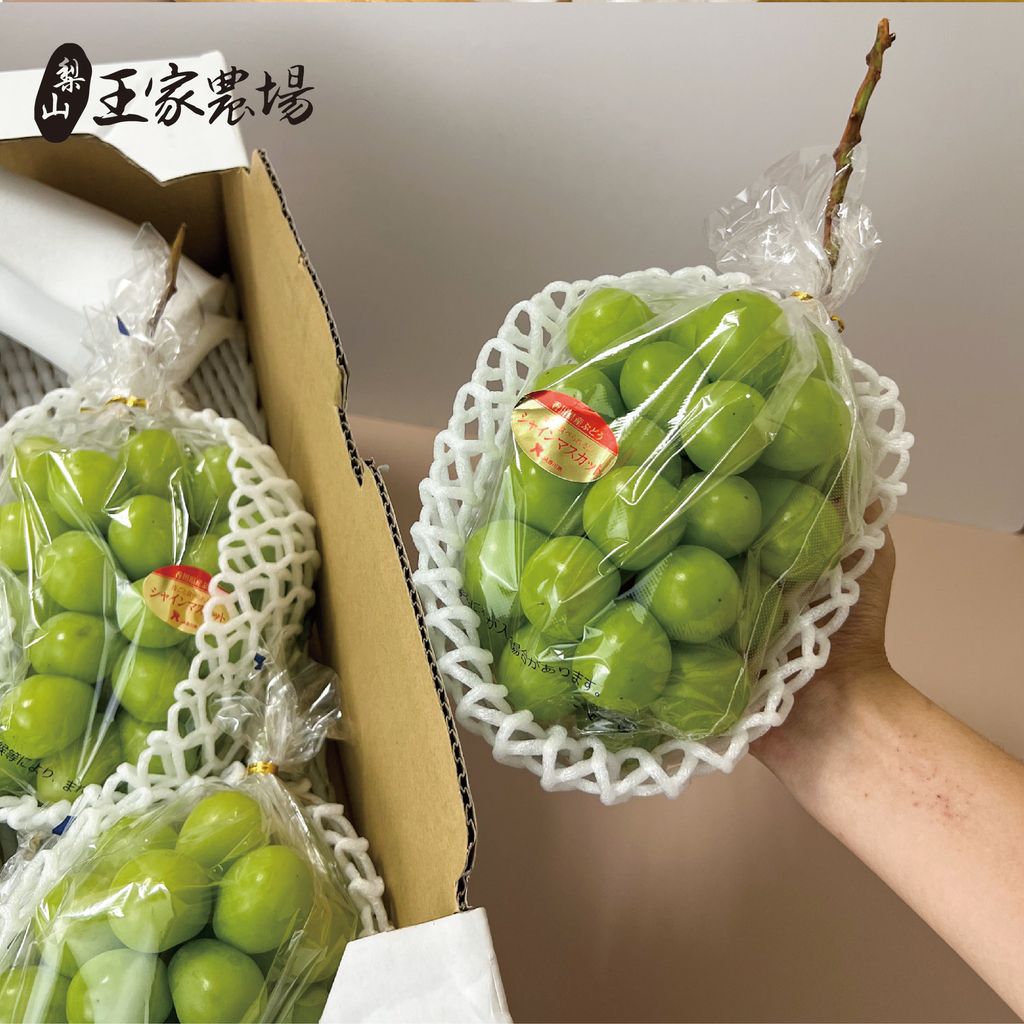 香川麝香葡萄-04