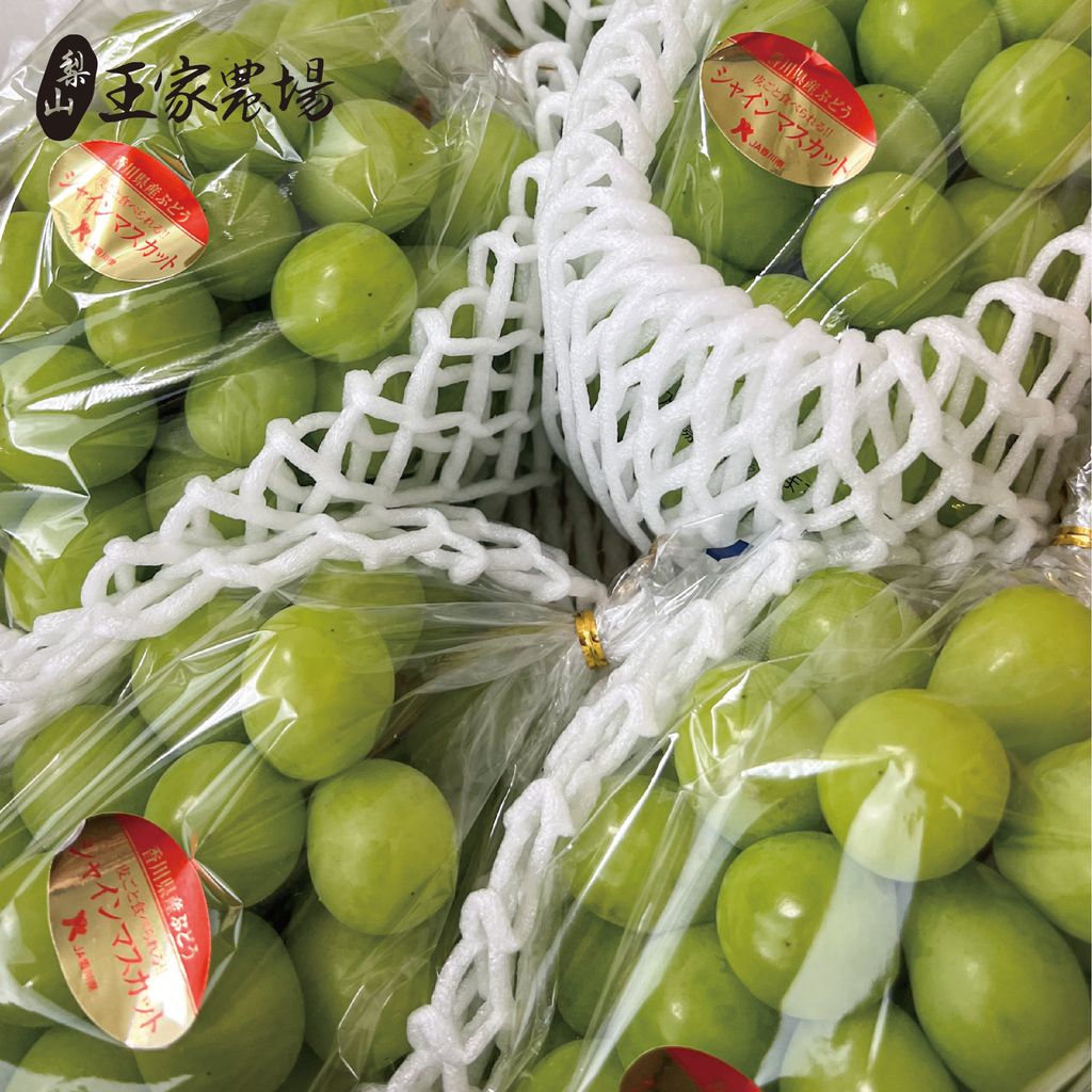 香川麝香葡萄-02