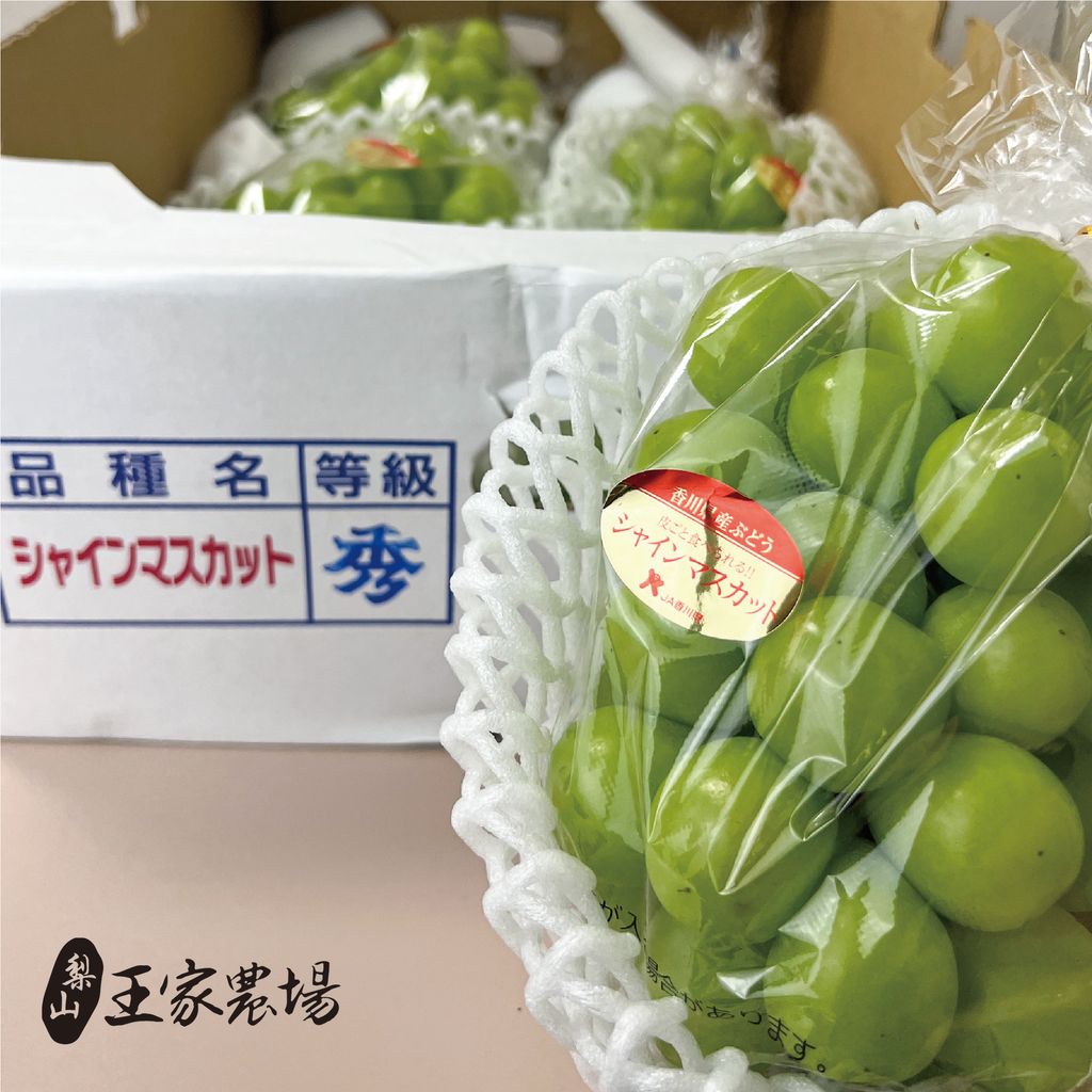 香川麝香葡萄-05