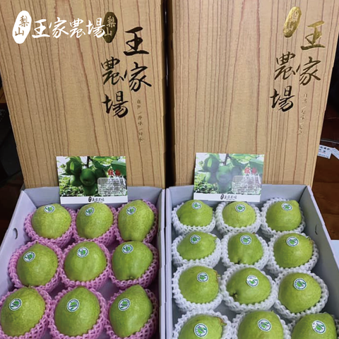 梨山馥梨產品圖-04