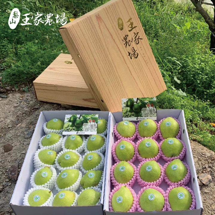 梨山馥梨產品圖_工作區域 1