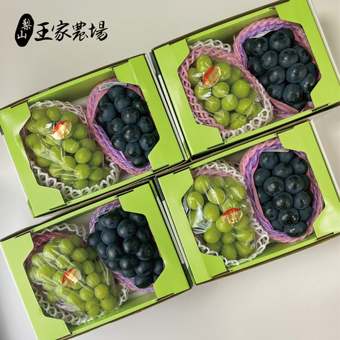 雙色葡萄組合-04
