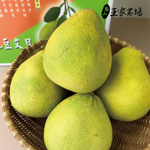 850文旦產品圖-03