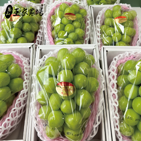 廣告產品圖-02