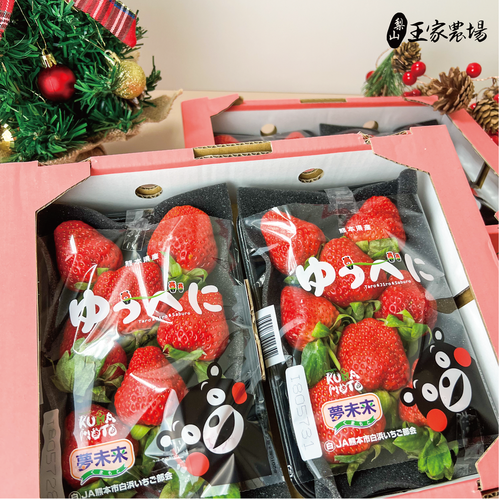 聖誕草莓櫻桃貼文_工作區域 1