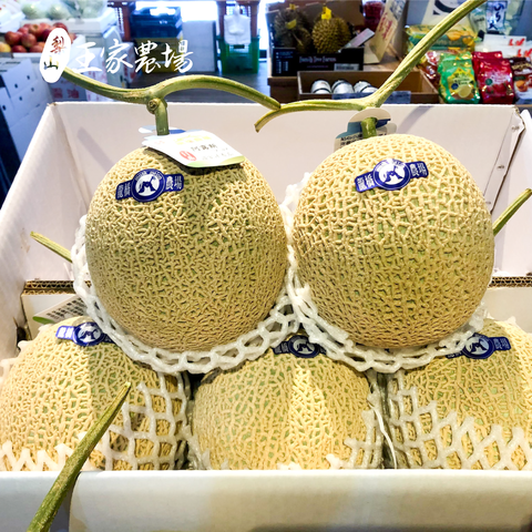 CNY貼文新-04