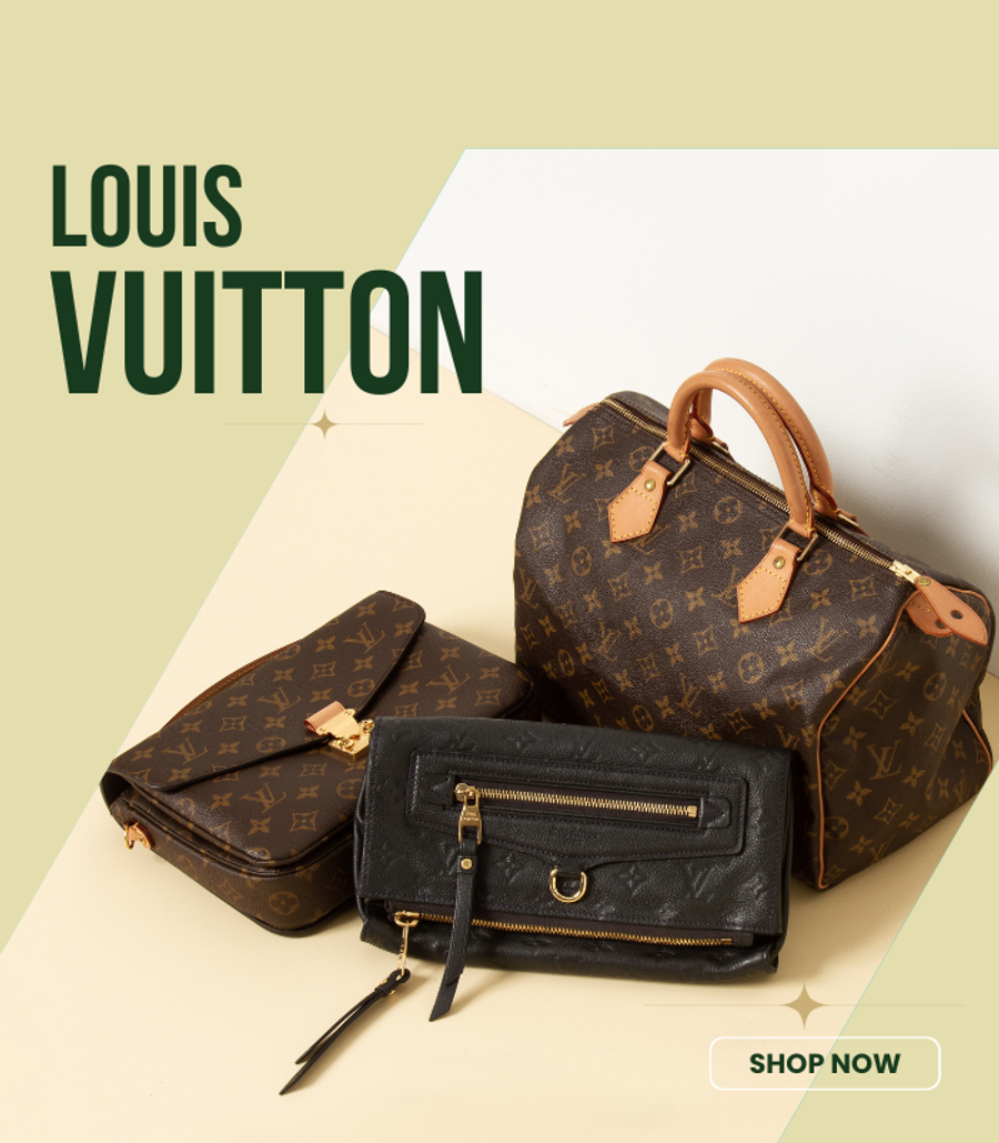 Louis Vuitton Speedy 30 - Luxe Bag Rental