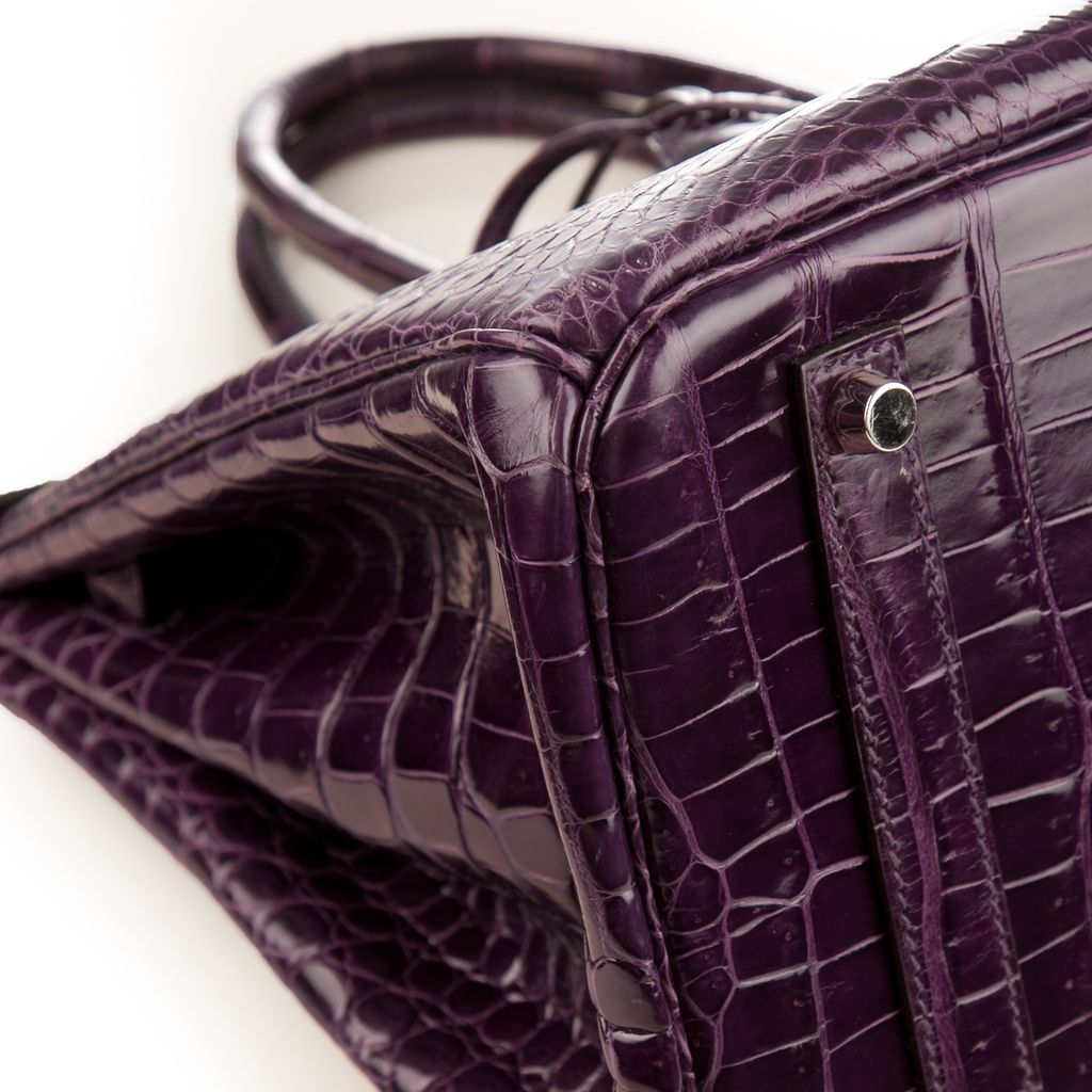 Hermes eggplant croc birkin-5.jpg