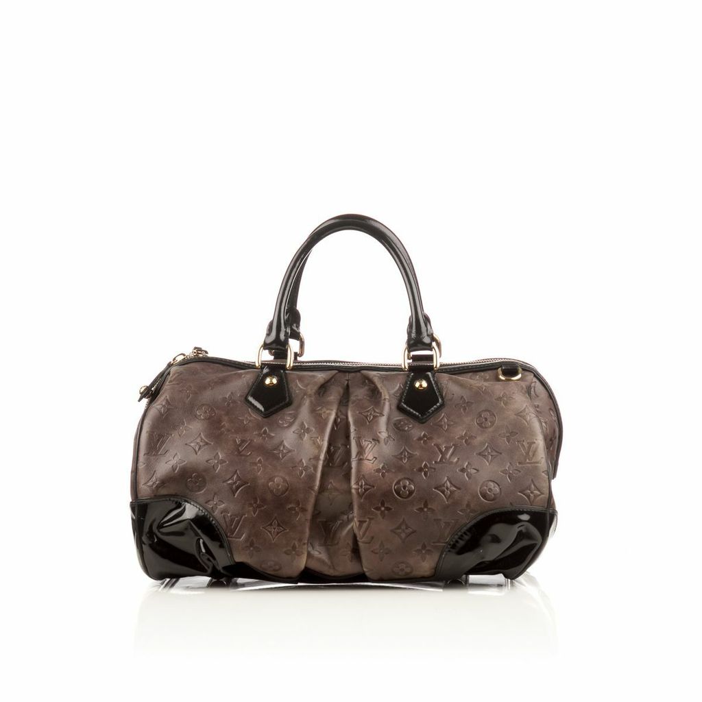 Pre-owned Louis Vuitton Stephen Tortoise Shell Link Shoulder Bag
