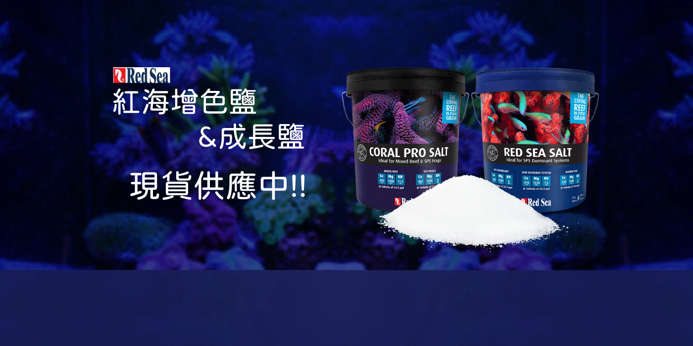 Coral Bay Aquarium 珊瑚灣水族 | 