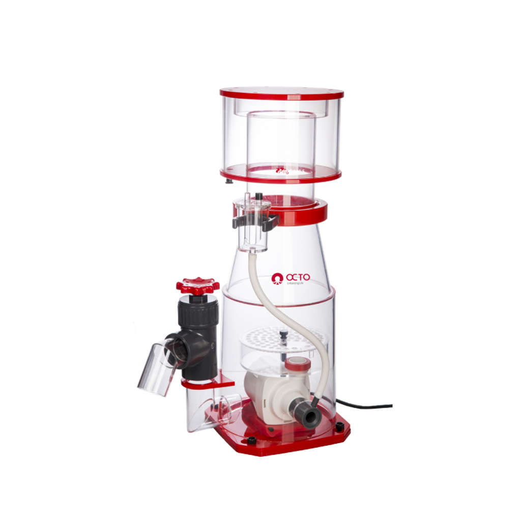 Regal-200-S2-商品