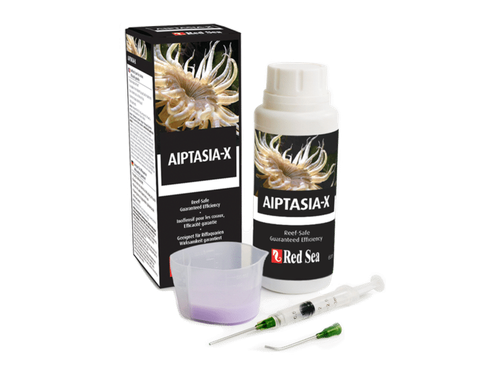 aiptasia-p-v2-768x591