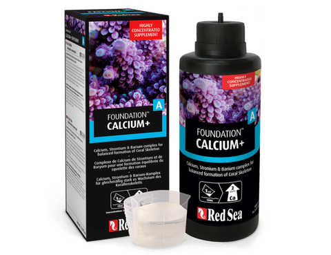 calcium-p-c2-768x591