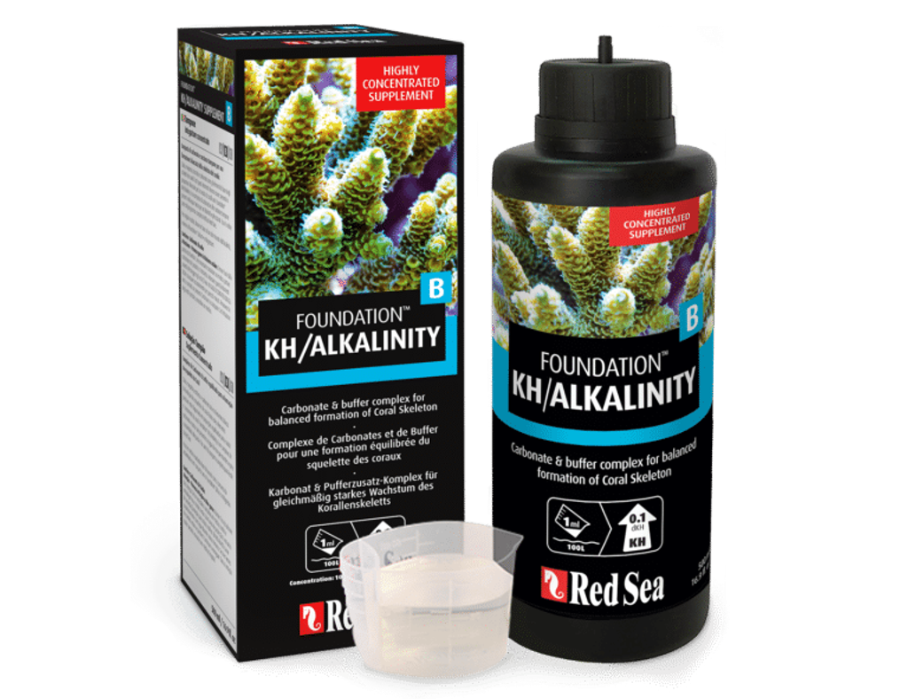 alkalinity-p-v2-768x591