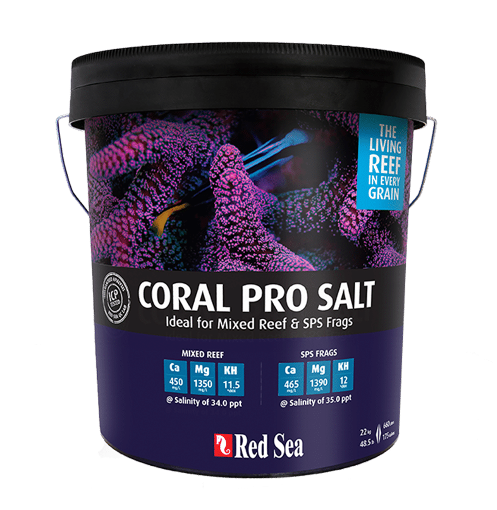 coral-pro-salt-image-4-1