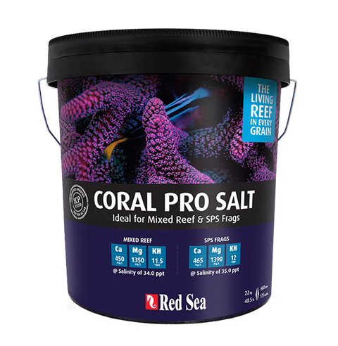 coral-pro-salt-image-4-1