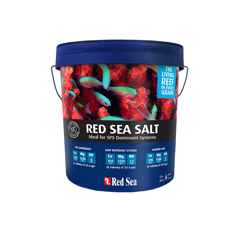 red-sea-salt-image-4-1