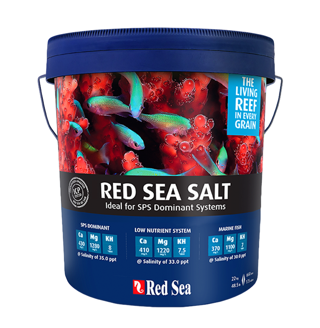 red-sea-salt-image-4-1