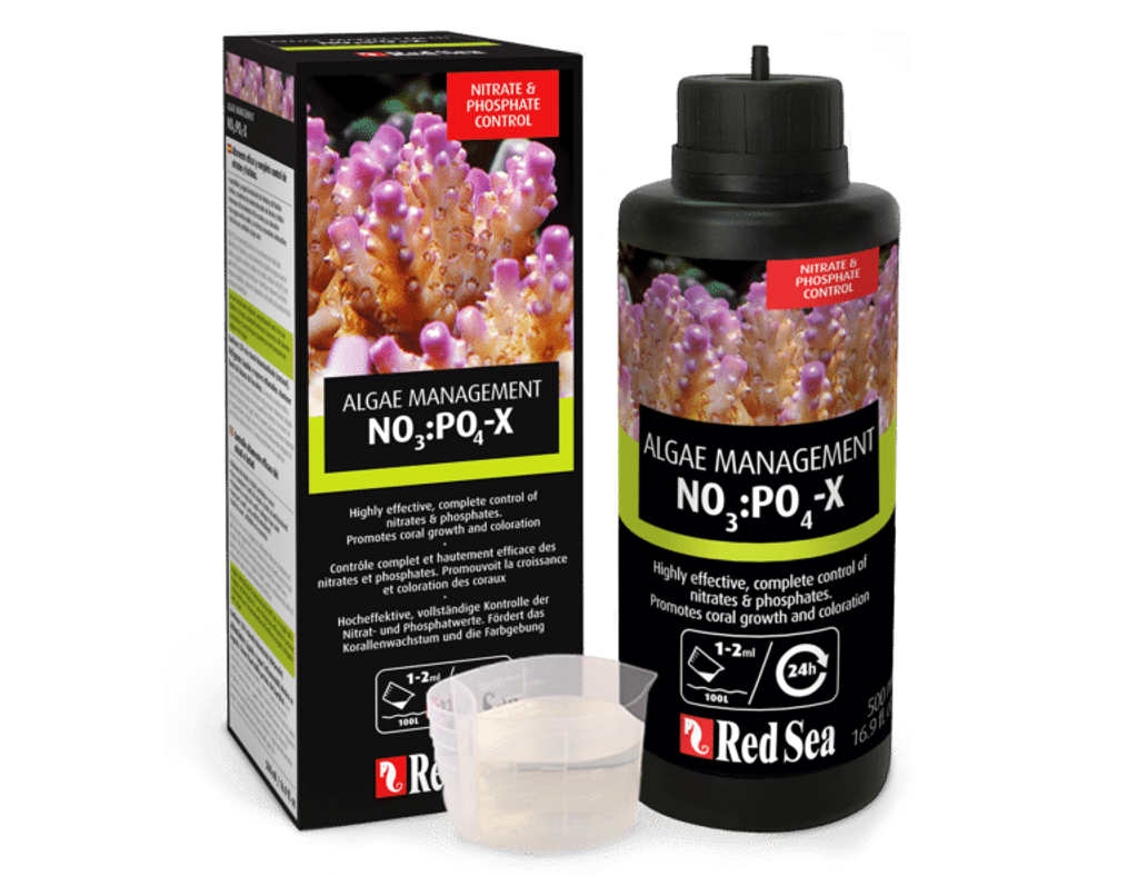 nopox-p-v2-768x591