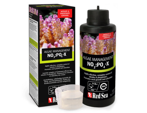 nopox-p-v2-768x591